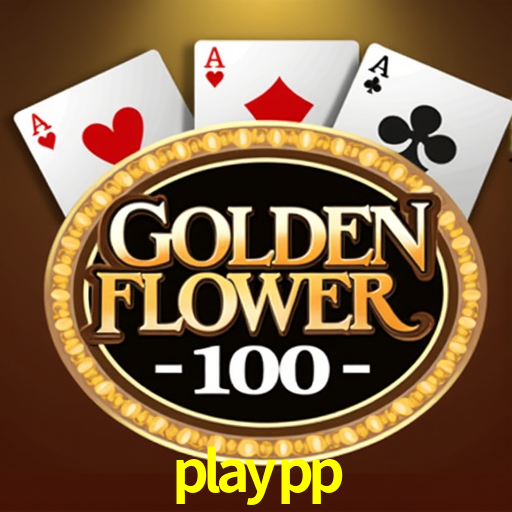 Interface Premium playpp